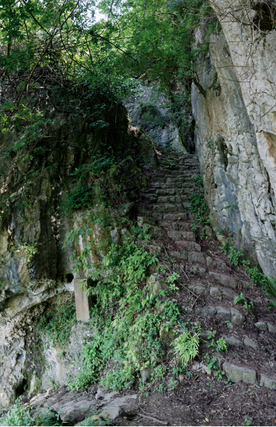 15995315756368.png image.png